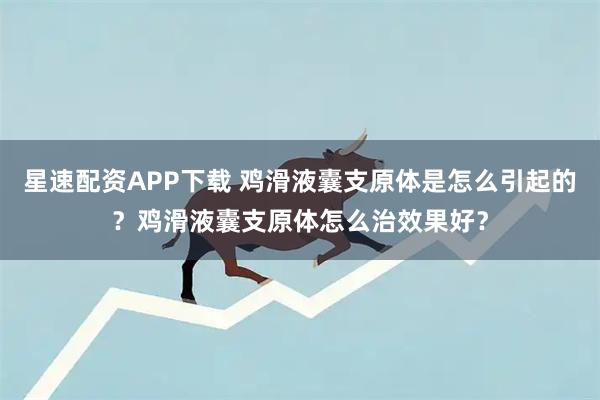 星速配资APP下载 鸡滑液囊支原体是怎么引起的？鸡滑液囊支原体怎么治效果好？