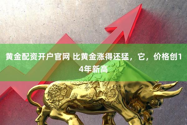 黄金配资开户官网 比黄金涨得还猛，它，价格创14年新高