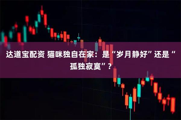 达道宝配资 猫咪独自在家：是“岁月静好”还是“孤独寂寞”？